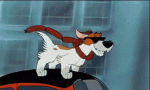 oliver-and-company-dog.gif