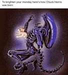 IMG_2886.jpeg