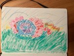 IMG_5278.jpeg