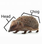 1740314891493.png