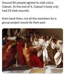 1742053491309.jpeg