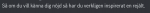 Skärmbild 2025-03-15 204926.png