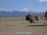 1000007315.gif