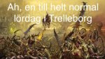 IMG_2975.jpeg