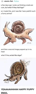 1751579761751.jpg