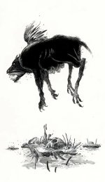 IMG_1599.jpeg