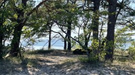 IMG_2020.jpeg