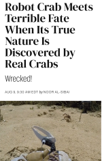 614d23c3d5ffd49a.png