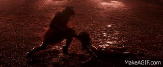 IMG_2986.gif