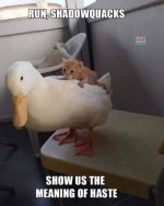1758810436178.jpeg