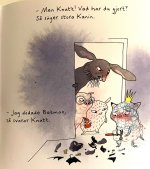 IMG_2573.jpeg