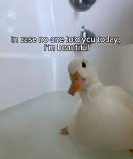 1759307648669.jpeg