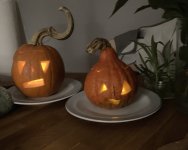 IMG_0868.jpeg