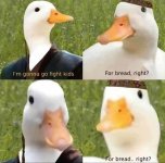 1000004006.jpg