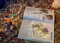 1000022088.jpg 1000022088.jpg