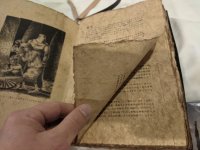 PXL_20230302_184145959 (Medium).jpg