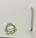 IMG_3392.jpeg