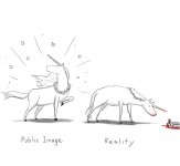 IMG_3457.jpeg