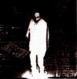 IMG_3495.jpeg