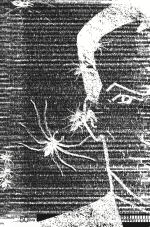 1781522756122.png 1781522756122.png