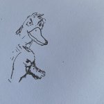 IMG_0367.jpeg IMG_0367.jpeg