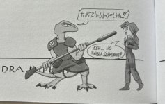 IMG_8039.jpeg