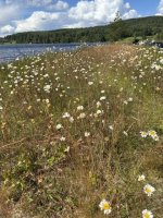 IMG_0630.jpeg