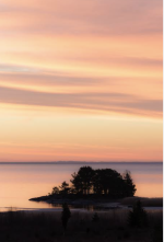 Skärmavbild 2026-07-16 kl. 09.01.19.png