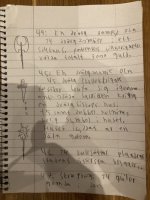 IMG_4097.jpeg IMG_4097.jpeg