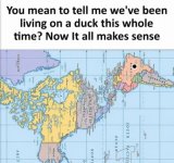 1000013733.jpg