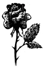 1787123594333.png 1787123594333.png