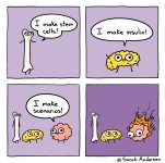 IMG_8019.jpeg