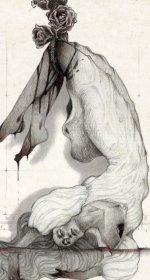 IMG_5185.jpeg