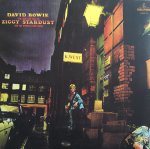 David-Bowie---The-Rise-And-Fall-Of-Ziggy-Stardust-And-The-Spiders-From-Mars---LP.jpg