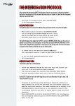 the interrogation protocol handout.jpg