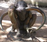 IMG_8982.jpeg