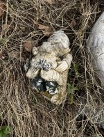 IMG_3262.jpeg