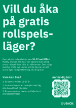 Rollspel läger, färg.png