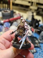 chaos lord3.jpg