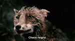 0BBFBBFD-DB45-4C56-AA5A-0ADAC9564731.gif
