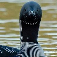 Voltäär