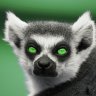 Lemur